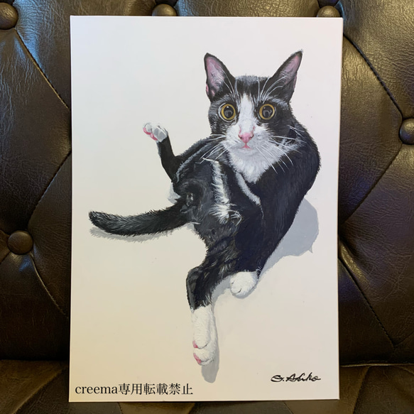 絵画 猫 A4 アクリル画 原画 手書き ハチワレ 似顔絵 2枚目の画像