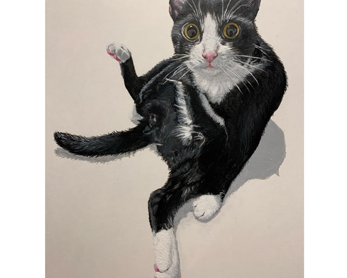 絵画 猫 A4 アクリル画 原画 手書き ハチワレ 似顔絵 絵画 大橋