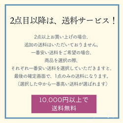 春待ちカラーの給食袋　｜サイズ変更対応 19枚目の画像