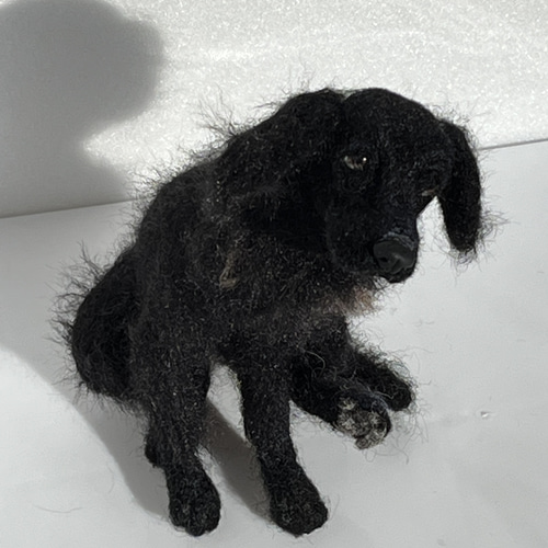 フラットコーテッドレトリバー 黒 羊毛フェルト Wool Whisper 通販