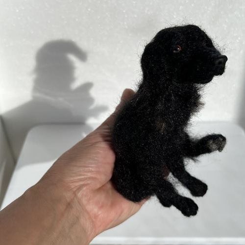 フラットコーテッドレトリバー 黒 羊毛フェルト Wool Whisper 通販