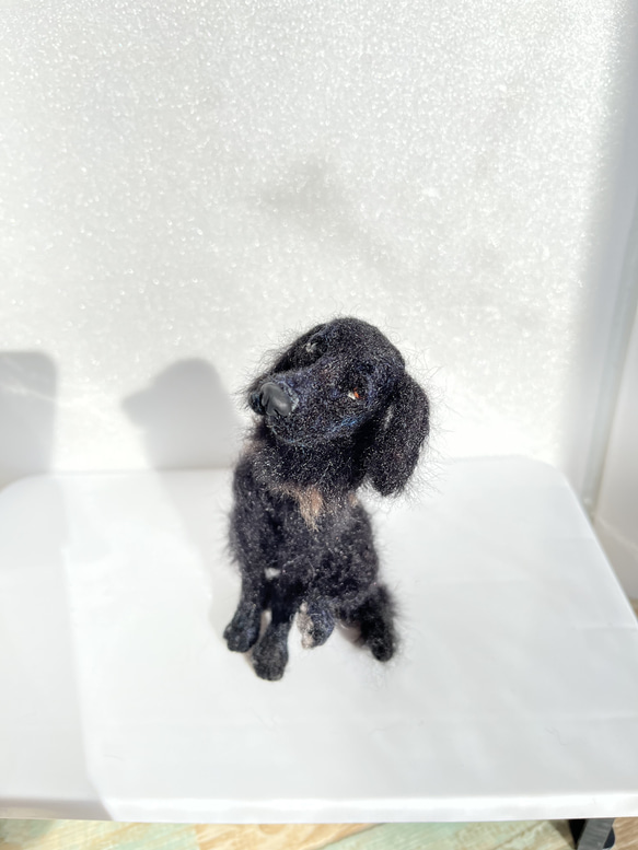 フラットコーテッドレトリバー 黒 羊毛フェルト Wool Whisper
