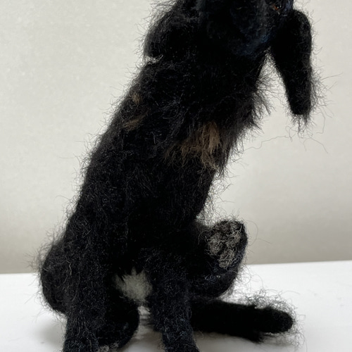 フラットコーテッドレトリバー 黒 羊毛フェルト Wool Whisper