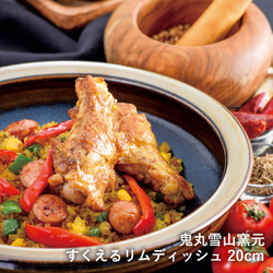 咖哩盤子勺邊盤 Takatori ware Takatori ware Stew plate 20cm Takatori war 第1張的照片