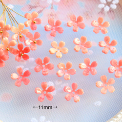 オリジナル新作★11mm 桜　芝桜　アセテートパーツ　オレンジ、ピンクグラデーション 2枚目の画像