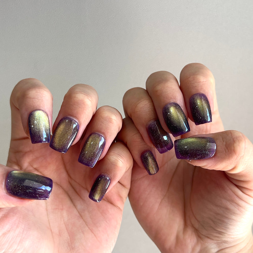 ネイルチップ マグネットネイル/ギャラクシーネイル ネイルチップ