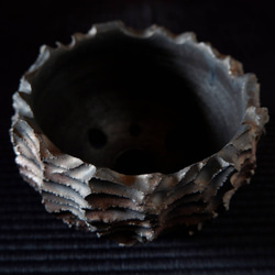 4.5号黒ブロンズ鉢１　塊根植物　多肉植物　コーデックス　植木鉢　沖縄 4枚目の画像