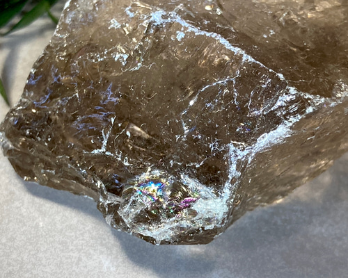 c97792c3412c941adeb22008da617d