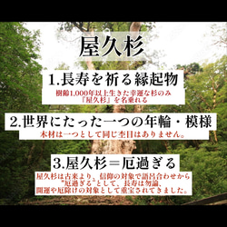 【再販・世界に1本だけ】屋久杉の万年筆　長寿を祈る贈り物に 9枚目の画像