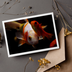 【送料無料】金魚たち | 写真プリント | 壁掛け | ポスター | オリジナル写真 | ミニマリスト | 1枚目の画像