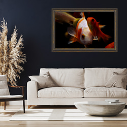 【送料無料】金魚たち | 写真プリント | 壁掛け | ポスター | オリジナル写真 | ミニマリスト | 2枚目の画像