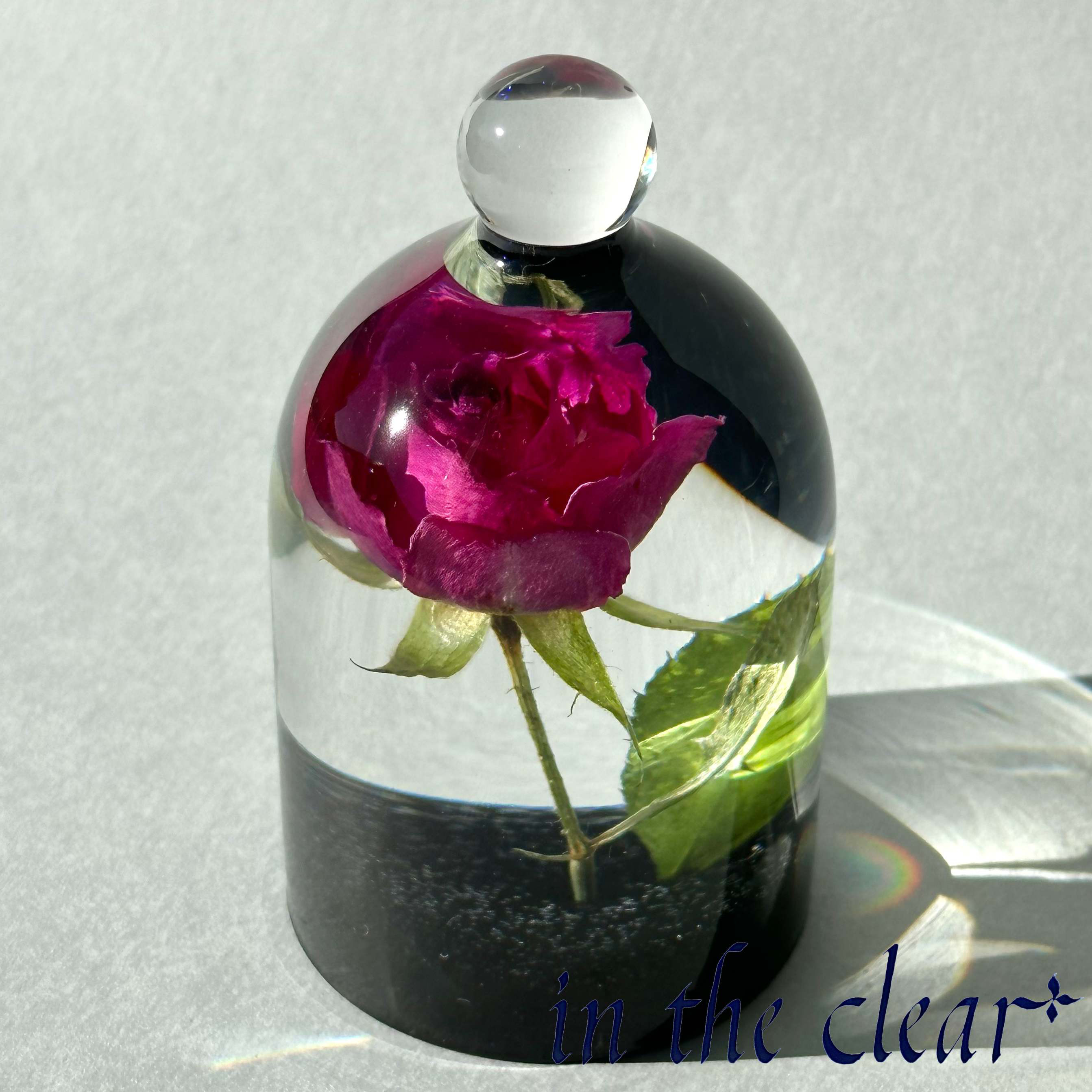 植物標本　薔薇　ピンク　レジン　ベル型ガラスドーム風