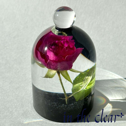 220a1ec8574041bc35ad32013d2839