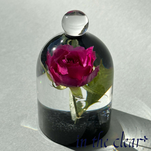 植物標本 薔薇 ピンク レジン ベル型ガラスドーム風 ハーバリウム