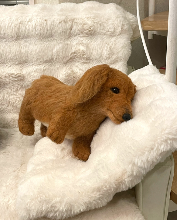 羊毛フェルト　犬　リアル　ダックスフント 12枚目の画像