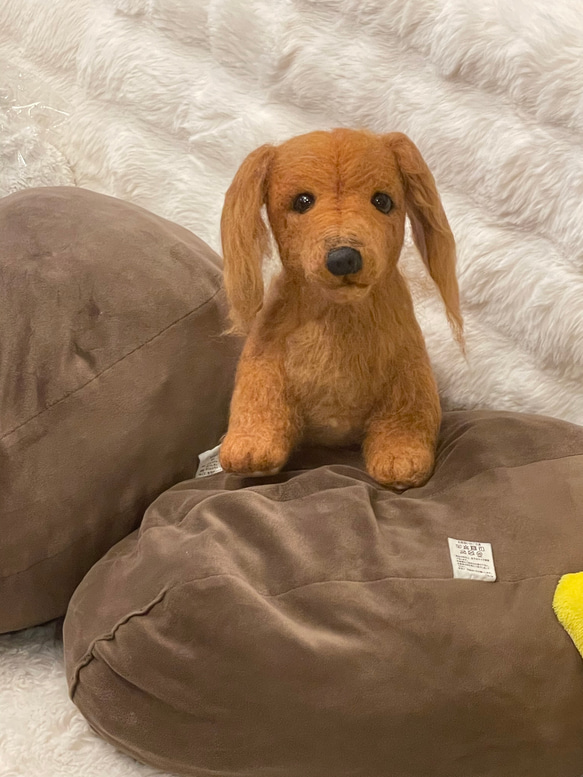 羊毛フェルト　犬　リアル　ダックスフント 