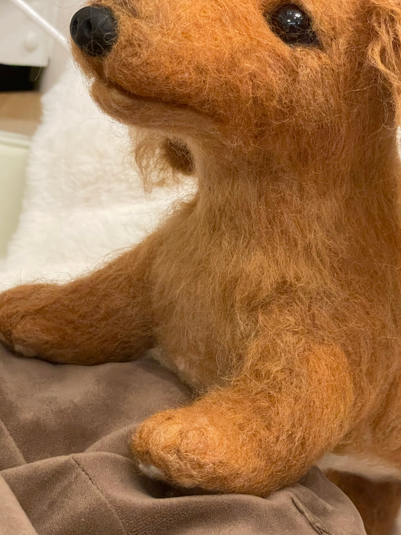 羊毛フェルト　犬　リアル　ダックスフント 