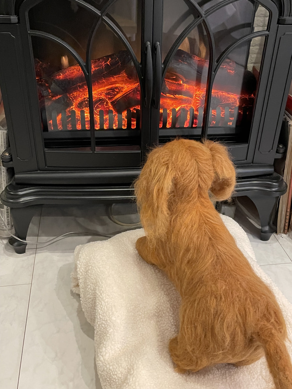 羊毛フェルト　犬　リアル　ダックスフント 