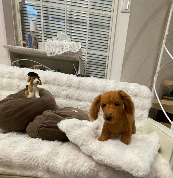 羊毛フェルト　犬　リアル　ダックスフント 