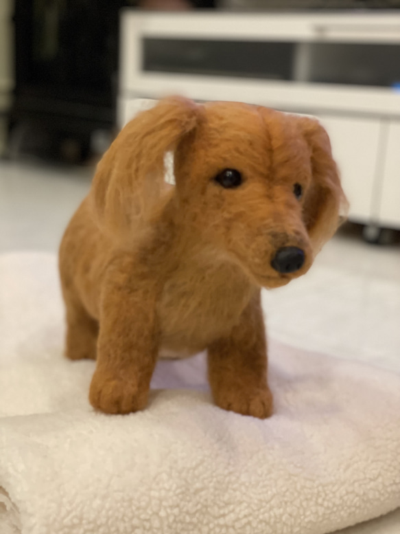 羊毛フェルト　犬　リアル　ダックスフント 