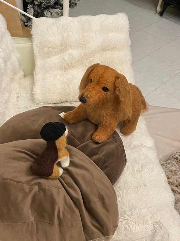 羊毛フェルト　犬　リアル　ダックスフント 1枚目の画像