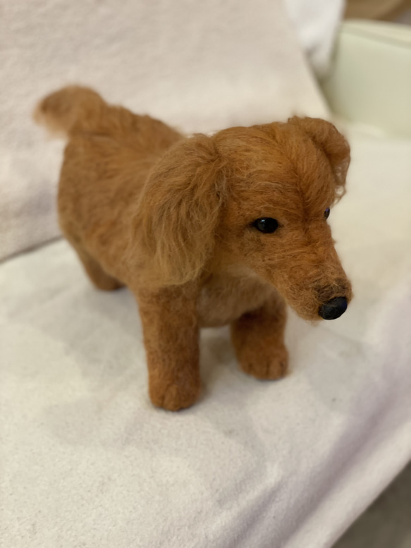 羊毛フェルト　犬　リアル　ダックスフント 