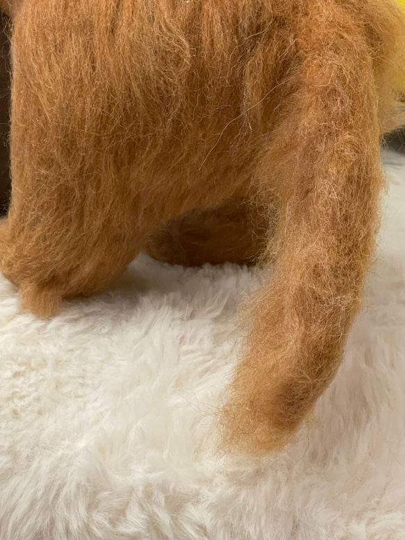 羊毛フェルト　犬　リアル　ダックスフント 