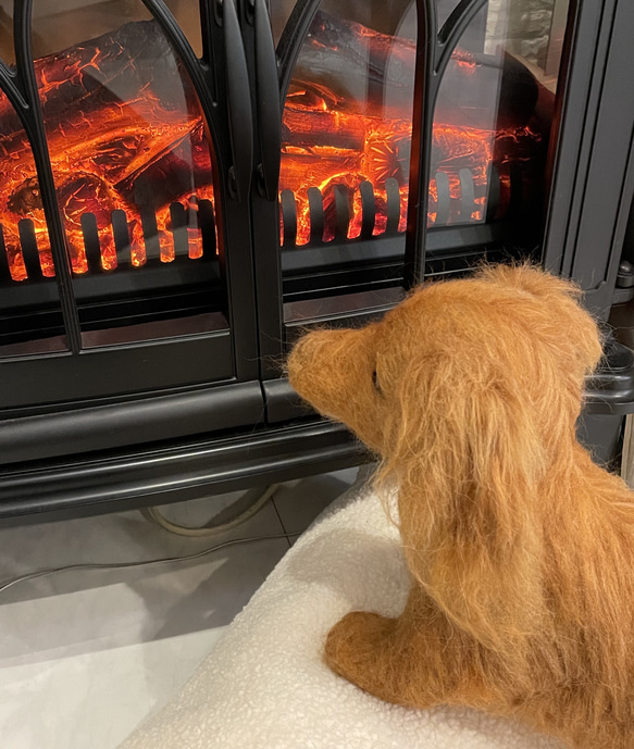 羊毛フェルト　犬　リアル　ダックスフント 