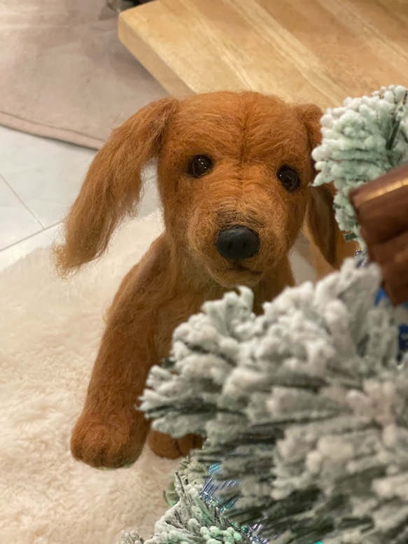 羊毛フェルト　犬　リアル　ダックスフント 
