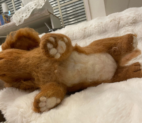 羊毛フェルト　犬　リアル　ダックスフント 