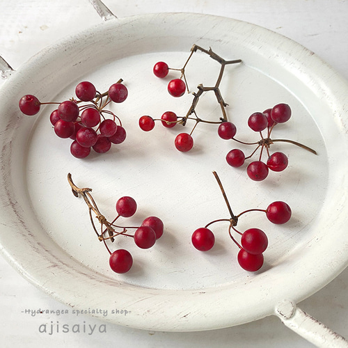 新入荷 】 ミニサンキライの実 こふさ 【ドライフラワー】 その他素材