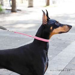 8色 パラコード の 首輪 わんちゃん ハンドメイド 散歩 大型犬 中型犬 小型犬 ペット #mm00000146 2枚目の画像