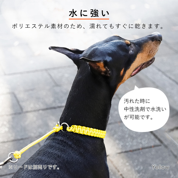 8色 パラコード の 首輪 わんちゃん ハンドメイド 散歩 大型犬 中型犬 小型犬 ペット #mm00000146 4枚目の画像