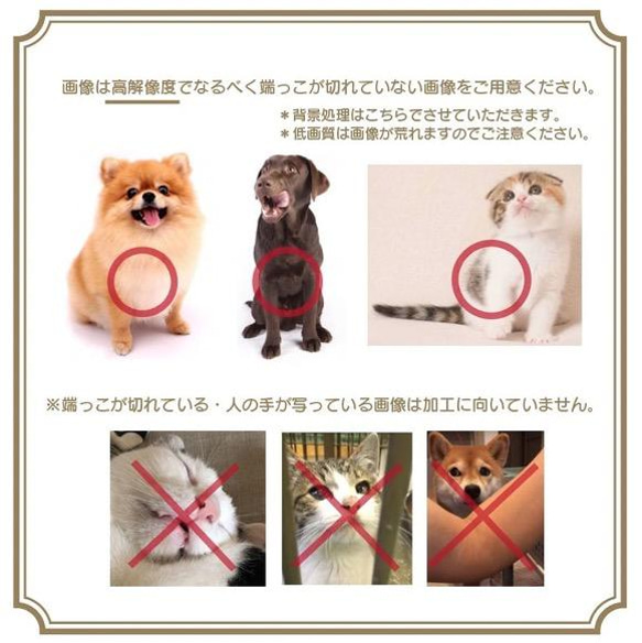 婚姻届　デジタルスケッチ加工　イラスト　クリスマスツリー　愛犬　ねこ　写真入れ　文字入れ 6枚目の画像