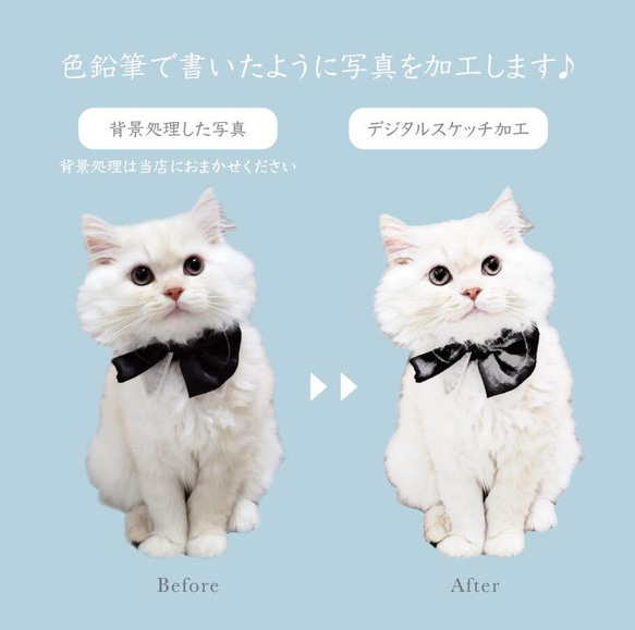 婚姻届　デジタルスケッチ加工　イラスト　クリスマスツリー　愛犬　ねこ　写真入れ　文字入れ 5枚目の画像