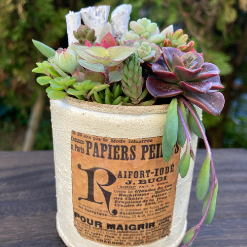 6号平鉢入り☆イチゴアソート鉢4個セット☆リメイク鉢　リメ鉢　リメイク缶　多肉 9ae07136a3bdda22de54b8fb47471e