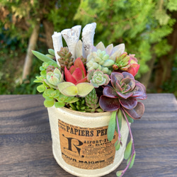 リメイク缶 と サボアレンジ のset 多肉　No.479 ★SOLD OUT リメイク缶 と サボアレンジ のset 多肉No.479 ☆SOLD OUT