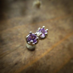 [再次上架] -改變的種子- 紫水晶皇冠耳環 第1張的照片