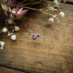 [再次上架] -改變的種子- 紫水晶皇冠耳環 第3張的照片