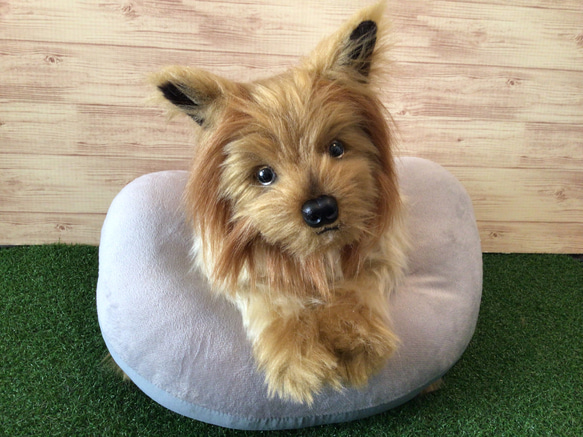 g様愛犬ちゃんオーダーメイド品(ヨークシャーテリア)縫いぐるみ30 