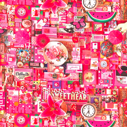 【再入荷】カナダ輸入生地　NORTHCOTT　ノースコット　COLOR COLLAGE　PINK 3枚目の画像