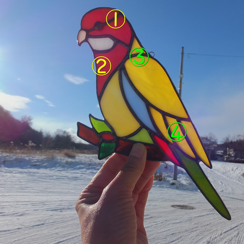 カラフルなインコの絵皿27センチ カラフルなインコの絵皿27センチ