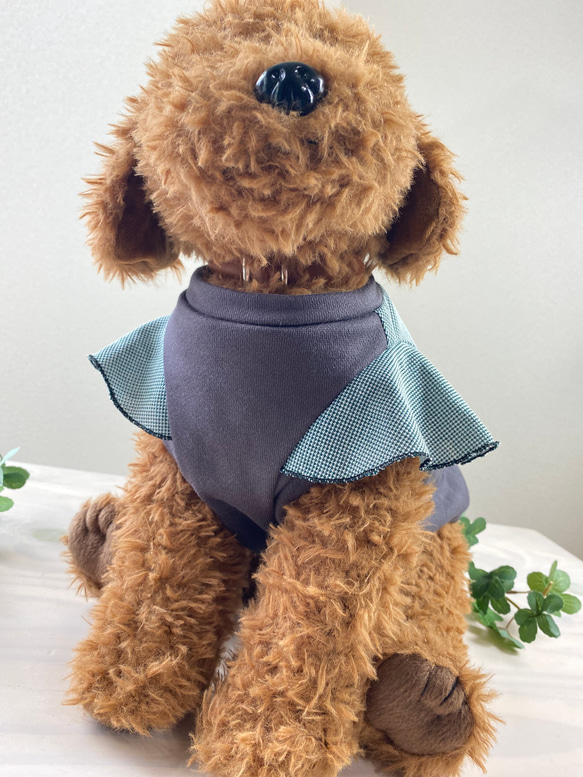◆ハンドメイド犬服◆Mサイズ相当◆フリルデザインが可愛い♪切替タンク☆ 1枚目の画像