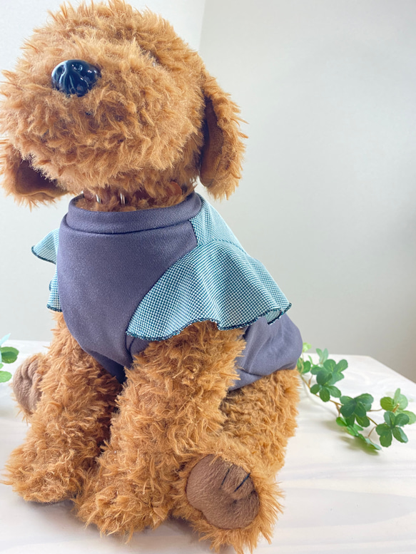 ◆ハンドメイド犬服◆Mサイズ相当◆フリルデザインが可愛い♪切替タンク☆ 7枚目の画像
