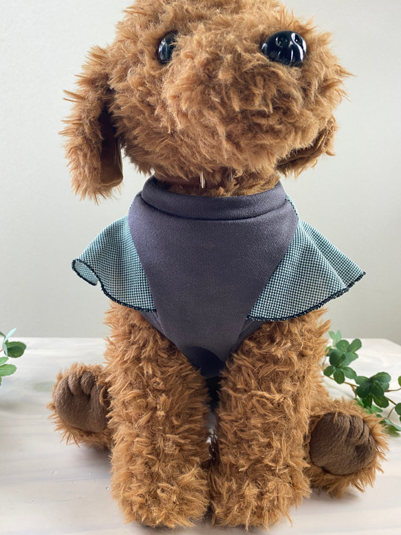 ◆ハンドメイド犬服◆Mサイズ相当◆フリルデザインが可愛い♪切替タンク☆ 6枚目の画像
