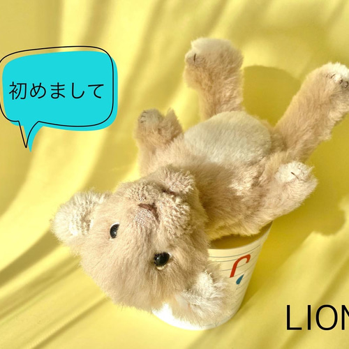 ライオンの赤ちゃんレオ君(30cm) ぬいぐるみ kmariko 通販 15114948