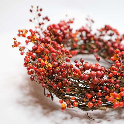 グレビレアと赤いクリスマスリース　サンキライ　野ばらの実　ローゼル Red wreath】サンキライと野バラの実の真っ赤なコニファーリース