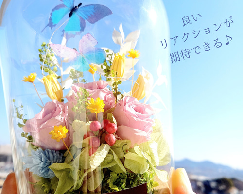 1d3ae61a5589d8e5b9b36f315e0337