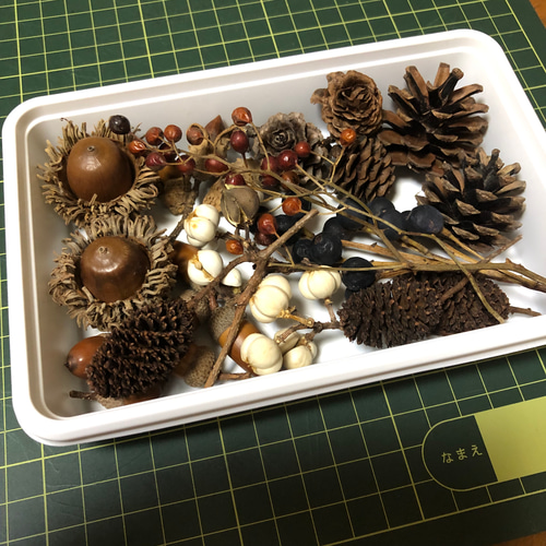 大量の松ぼっくり＆木の実セット」 B 木の実セット きのみセット どんぐり 松ぼっくり 図画工作 リース花