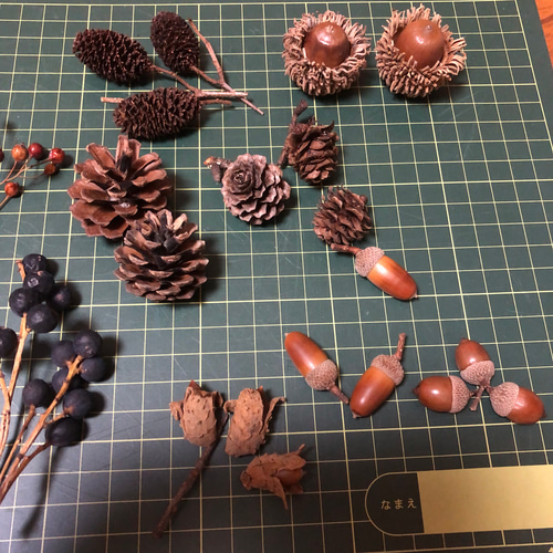 B 木の実セット きのみセット どんぐり 松ぼっくり 図画工作 リース花  